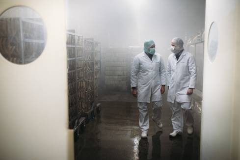 2 Mitarbeiter mit Mundschutz und in Schutzkleidung beim Verlassen des Kühlraumes in einem Kaufland-Fleischwerk.