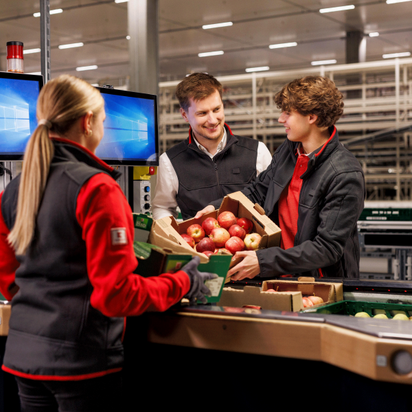 Zwei Mitarbeiterinnen und ein Mitarbeiter stehen vor Bildschirmen und kommissonieren Obst und Gemüse.